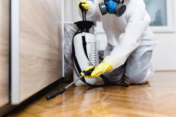 Best Pest Removal Services  in Tennille, GA