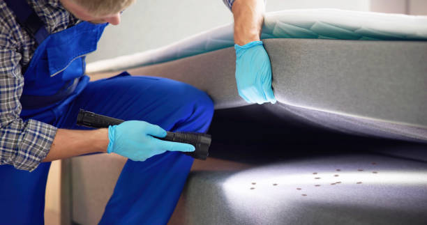 Pest Prevention Services in Tennille, GA