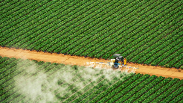 Best Best Pest Control Companies  in Tennille, GA